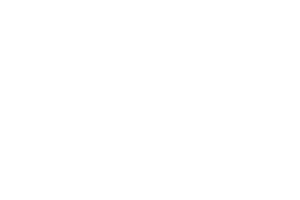 united nations